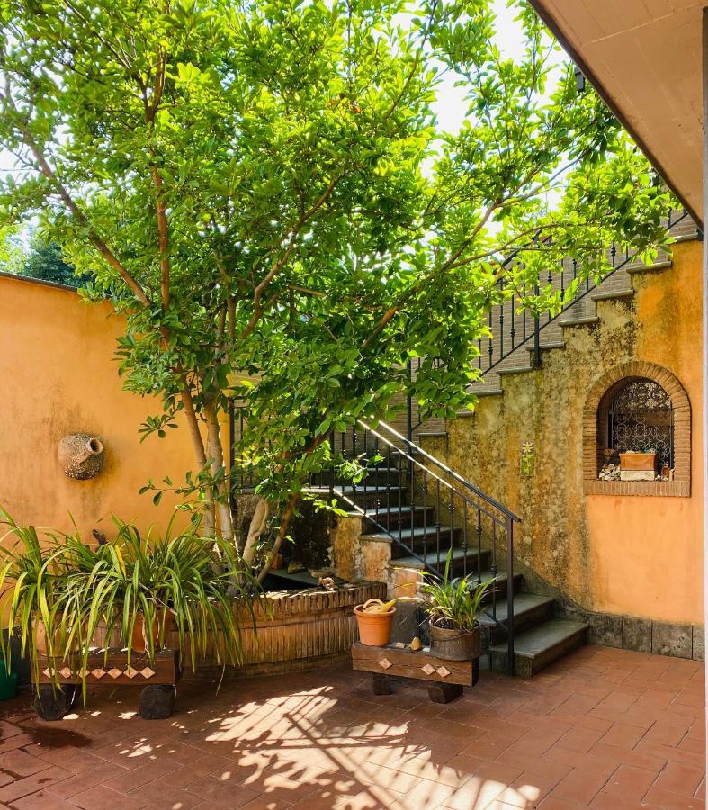 נטונו Villa Mariposa מראה חיצוני תמונה