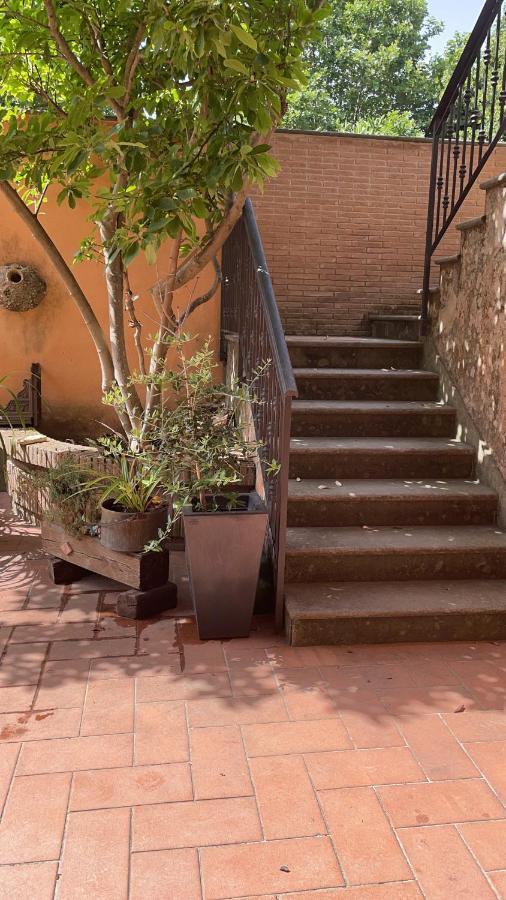 נטונו Villa Mariposa מראה חיצוני תמונה
